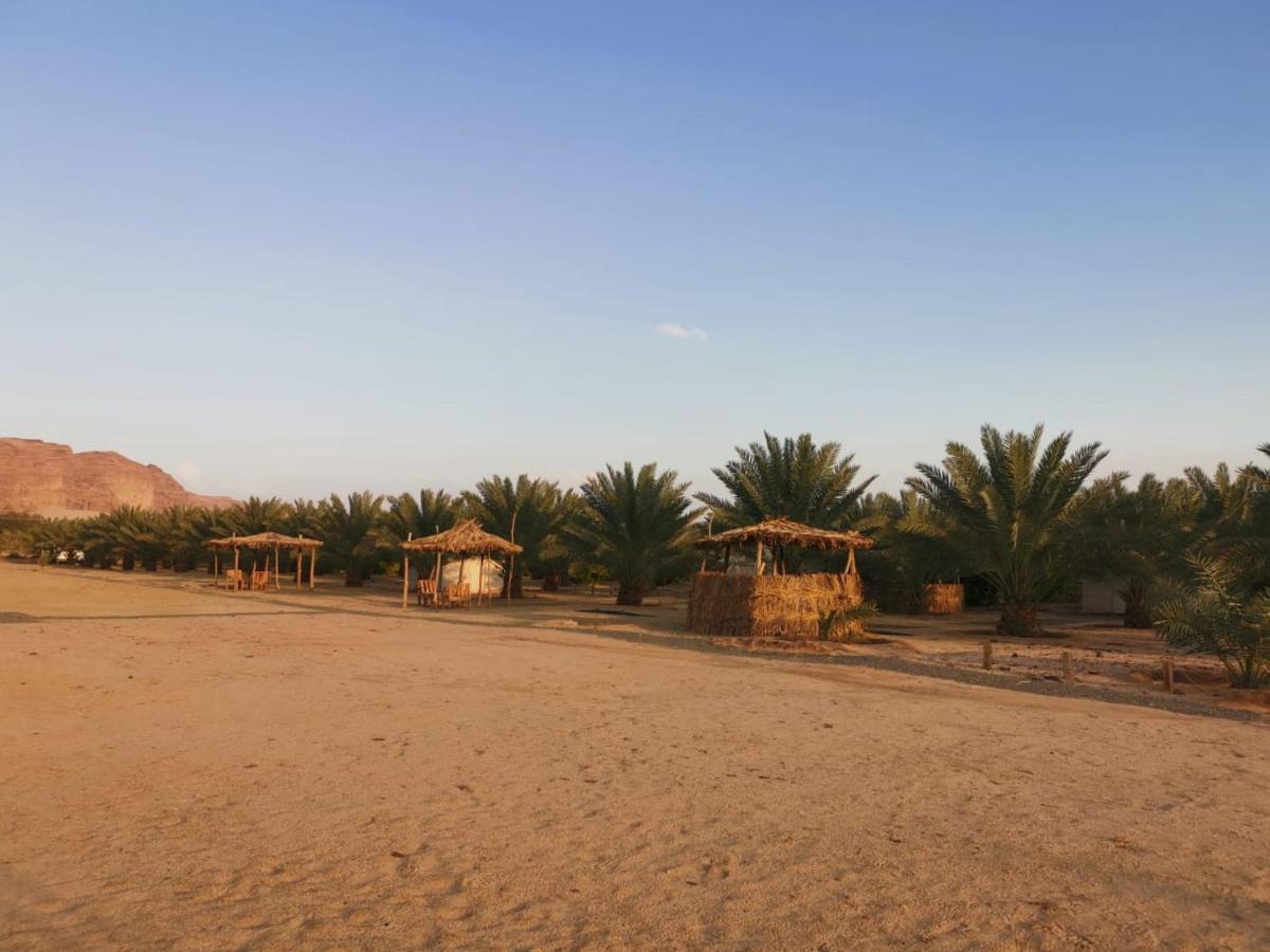 אל אולה Almazham Camp Resort מראה חיצוני תמונה