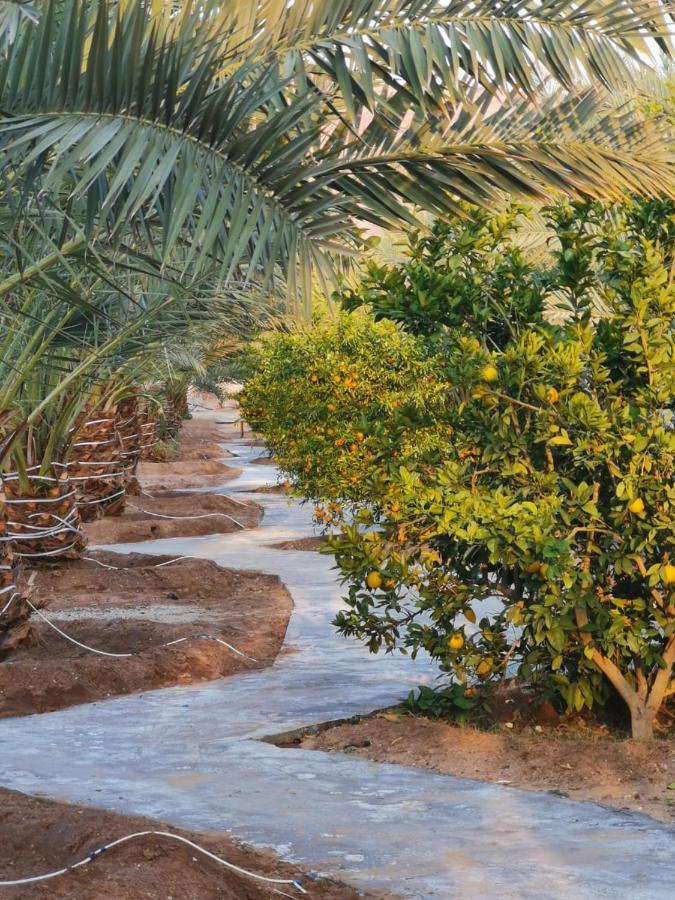 אל אולה Almazham Camp Resort מראה חיצוני תמונה